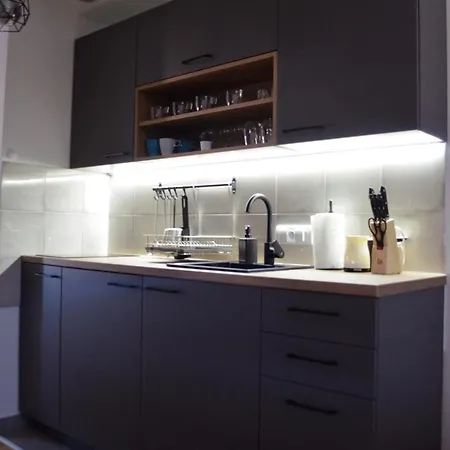 Penthaus Novak Apartament